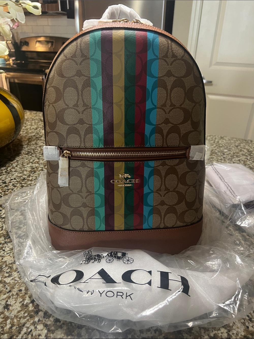 Coach Brown Signature Mini Backpack with Multicolor Stripe
